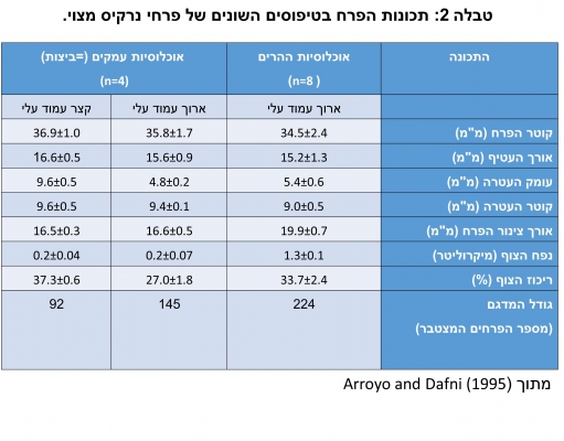 טבלה 2